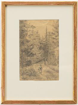 Anna Palm de Rosa, Forest Road.