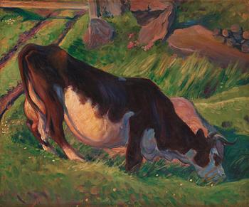 694. Nils Kreuger, Grazing Cow.