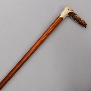 KÄPP, för hästhandlare, sekelskiftet 1900.