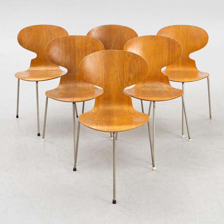 Arne Jacobsen, stolar, 6 st, "Myran", Fritz Hansen, Danmark, 1900-talets mitt.