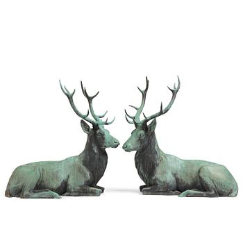 A pair of red deer.