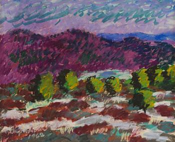 459. Inge Schiöler, View from Flatberget.