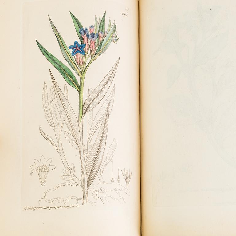 BÖCKER, 12 volymer, "English Botany", Sir James Edward Smith, James Sowerby, London, 1832-46.