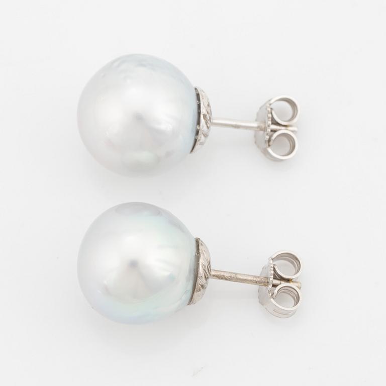 Cultured South sea pearl earrings.