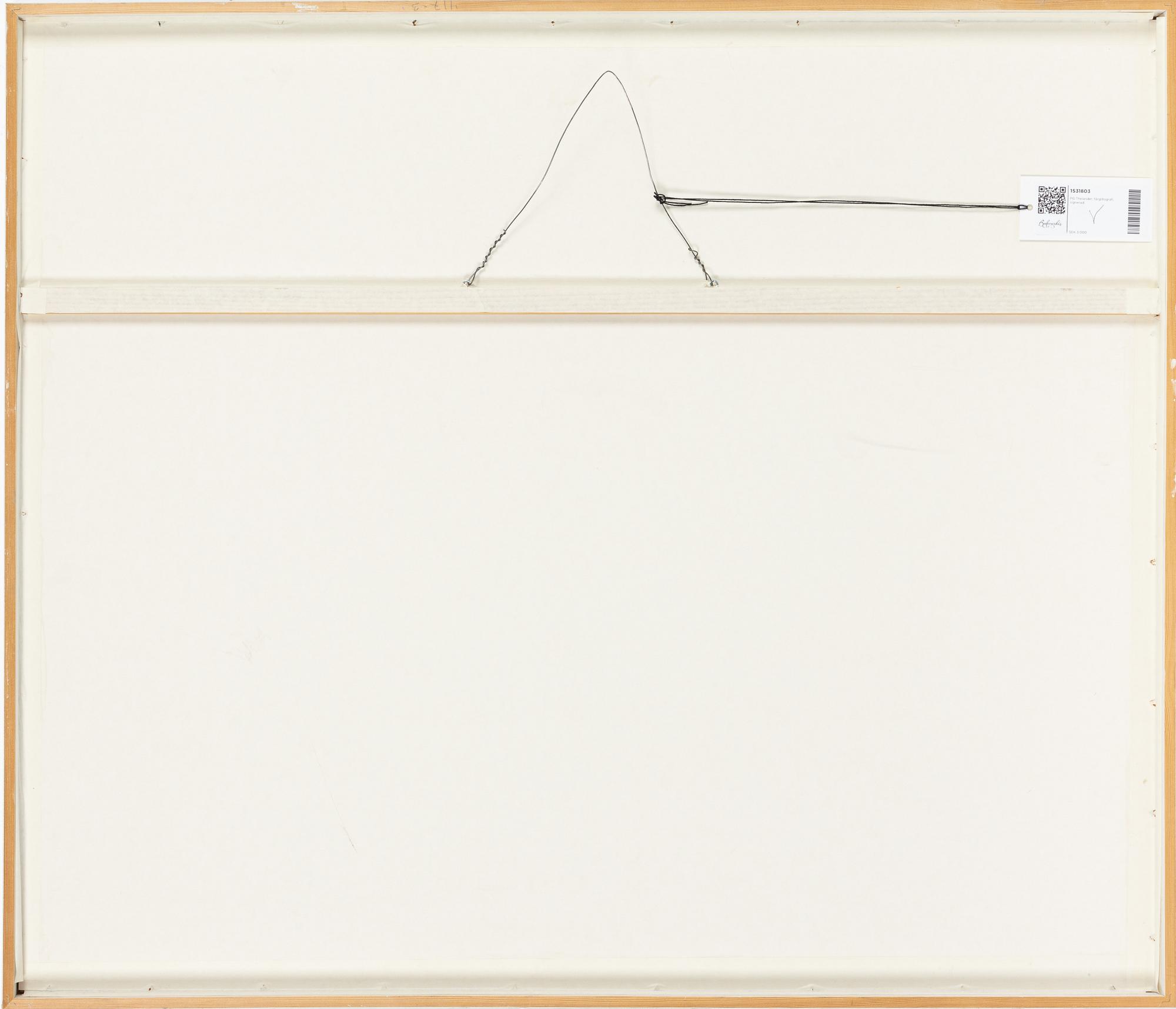 PG Thelander, "Utan titel.