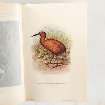 Fauna & Flora, Popular Journal of Biology, Einar Lönnberg, 1906 -, 66 volumes + approx. 160 issues.