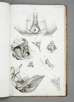 BOK, G H R Loders, "Tabulae Anatomicae Splanchologia", omkr år 1800.