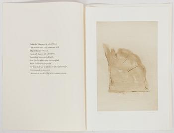 Curt Asker/Wallace Stevens "Elva dikter".