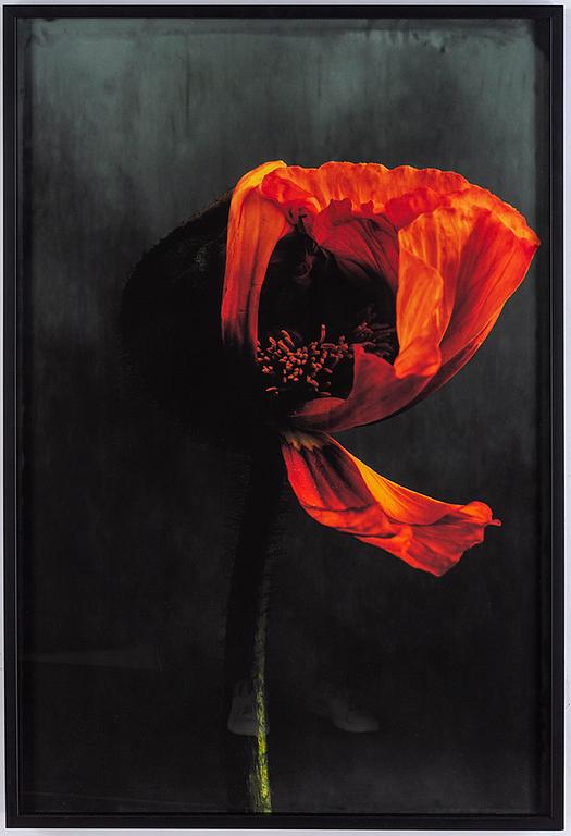 EWA-MARIE RUNDQUIST, Archival pigment print.