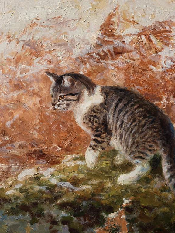 Thure Wallner, Katt.