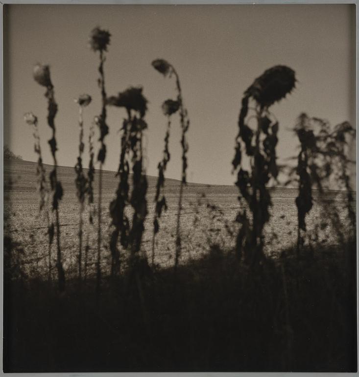 Gerry Johansson, "Sommerset. Pennsylvania", 1994.