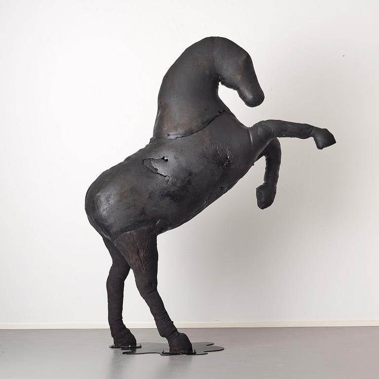 Linda Bäckström, "Black Beauty".