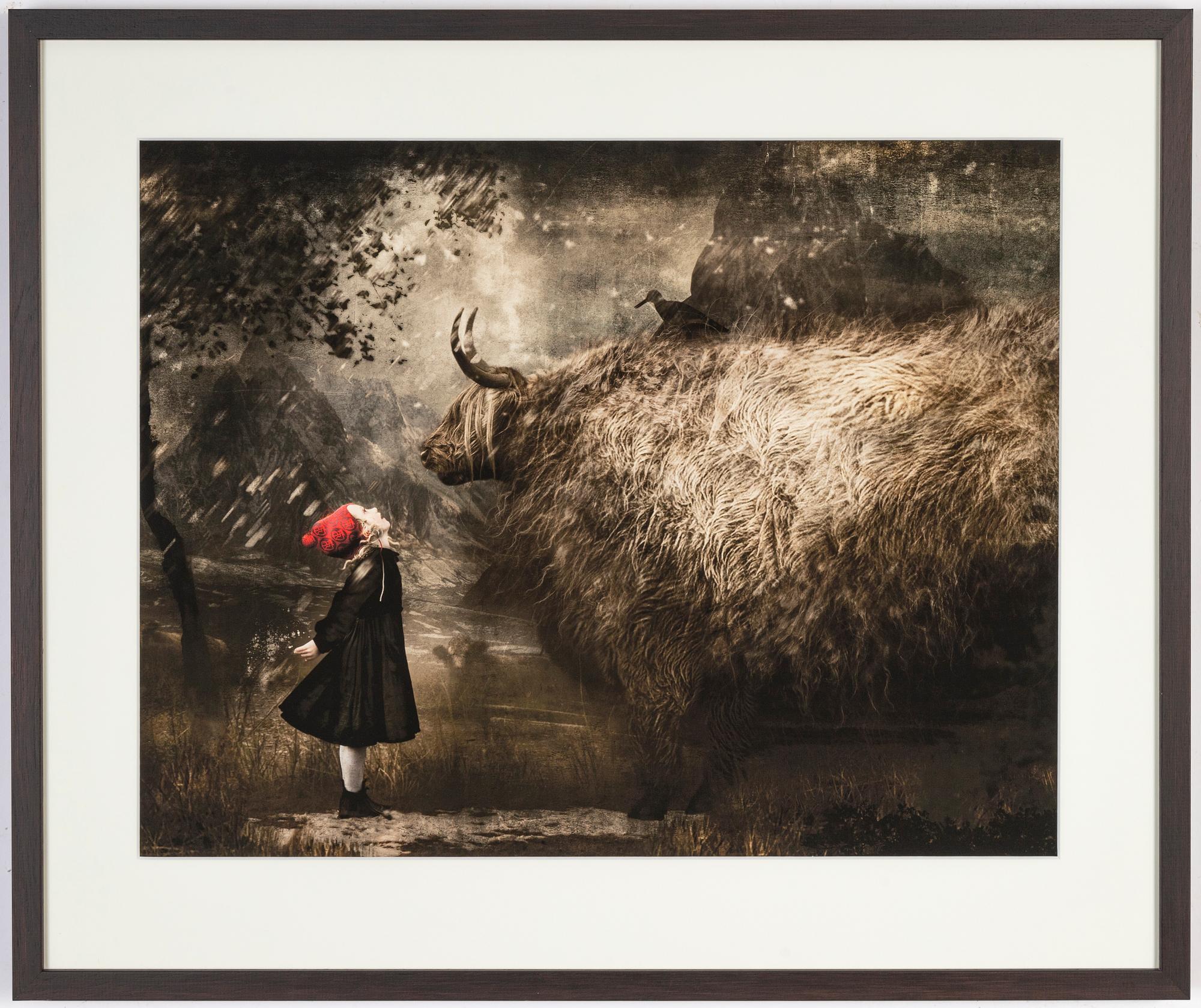 Cooper & Gorfer, archival pigment print, signerad 262/375 a tergo.