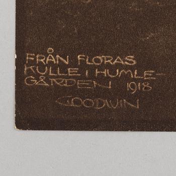 Henry B. Goodwin, tre fotogravyrer, Vårt vackra Stockholm sign i negativet. Bragevägen, Floras kulle, Engelbrektskyrkan.