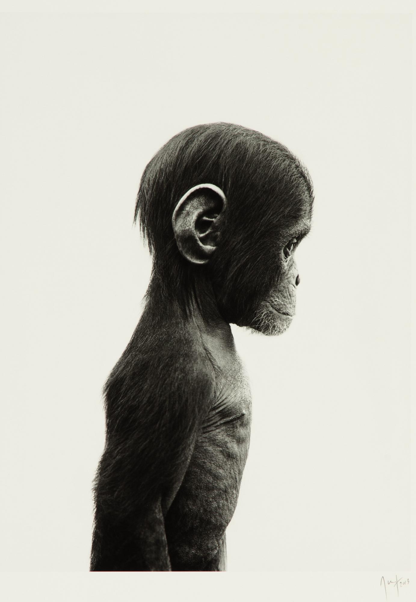 Ulf Rollof, pigment print, signerad och daterad 2013. Ed 003/100.