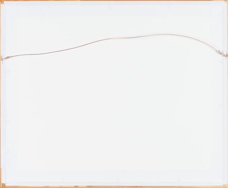 Santeri Salokivi, Vy från Högsåra.