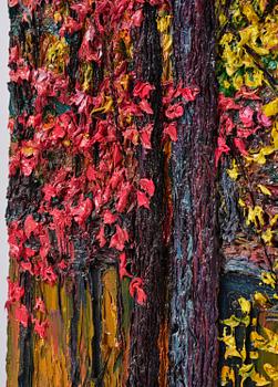 Robert Terry, "Pink + Yellow Trees".