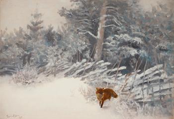 505. Bruno Liljefors, Winter landscape with fox.