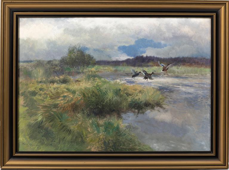 Mosse Stoopendaal, Stretching mallards.