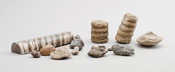 SAMLING FOSSILER, ca 18 st.