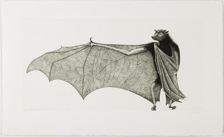 ETSNINGAR, 5 stycken, bland annat Hans Wigert.