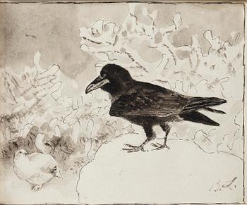 902. Bruno Liljefors, Raven and Grouse.