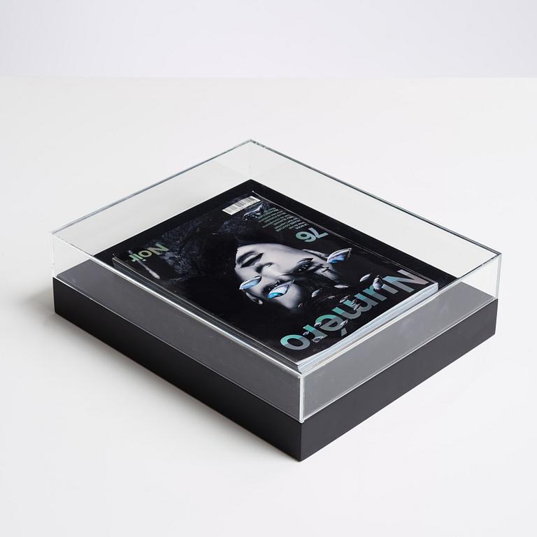 Anna Nordquist Andersson, "I see through you".