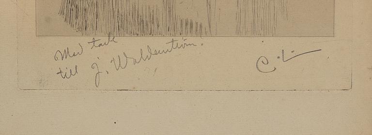 Carl Larsson, "Konstnärens moder".