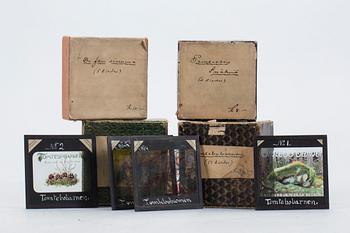 DIABILDER, 37 st, glas, Hasselblads, 1900-talets början.