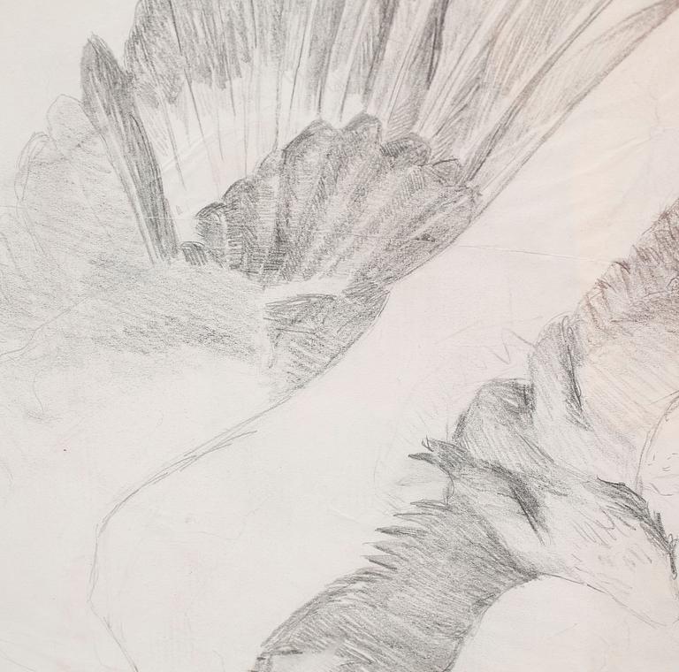 BRUNO LILJEFORS, pen on paper.