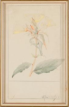 GERDA LYTTKENS, 10 st, akvareller, signerade.