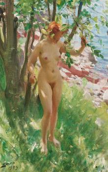 678. Anders Zorn, "Skuggan".