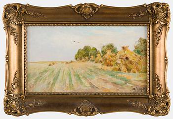 Maria Alekseevna Feodorova, Peltomaisema.