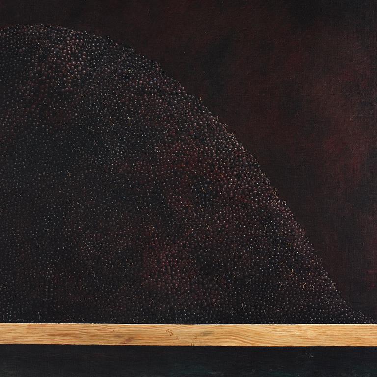 Philip von Schantz, Black currant.