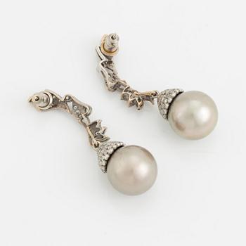White gold, Tahiti pearl and brilliant cut diamond earrings.