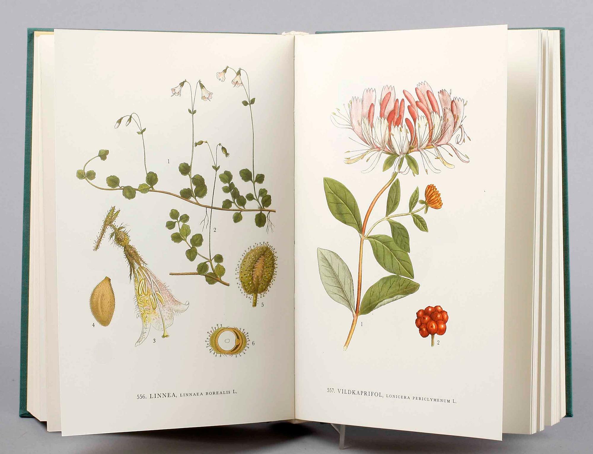 BOK, 3 vol, C A M Lindman, Nordens flora, Wahlström & Widstrand Stockholm 1964.