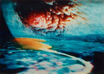 243. Pipilotti Rist, "Pickelporno", 1995.