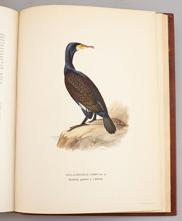 A set of three books about Swedish birds by von Wright. 1927.