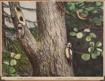 SKOLPLANSCHER, 5 st., 1900-talets första hälft.