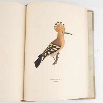 Bibliofilupplagan av von Wright: Svenska fåglar.