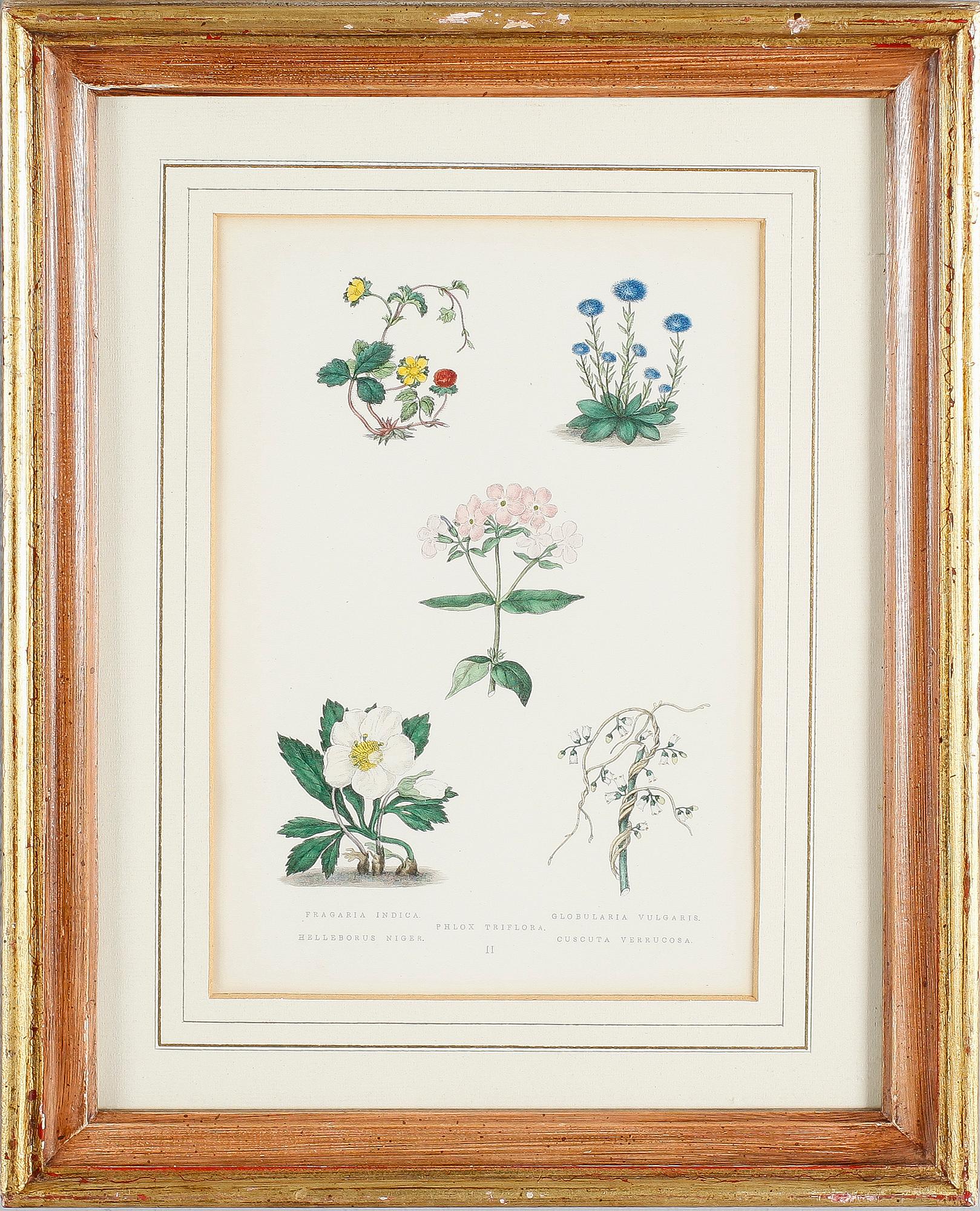 LITOGRAFISKA TRYCK, 2 st, 1800-/1900-tal.