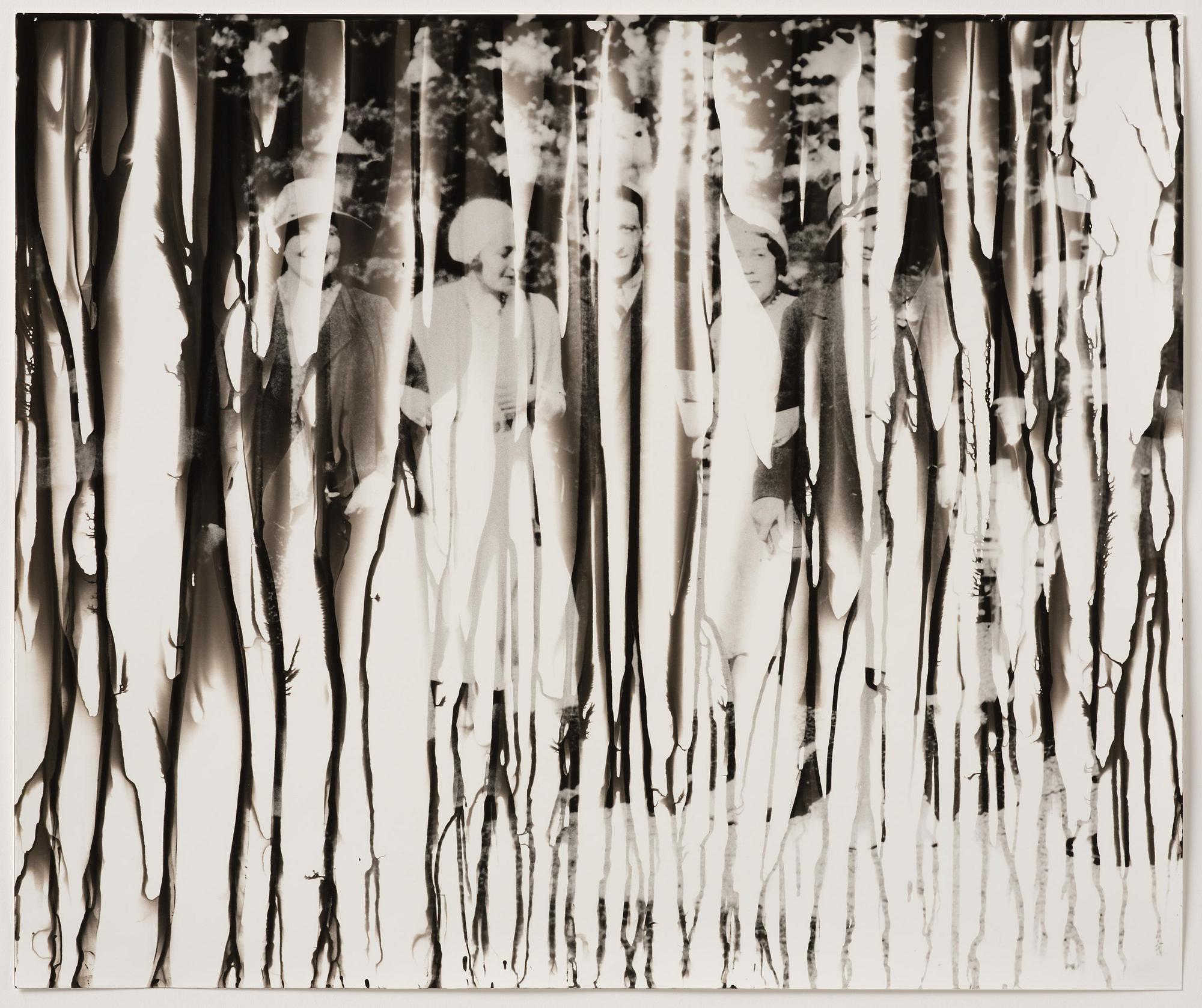 Iñaki Bonillas, "The Rain Came Last", 2013.