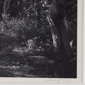 Ansel Adams, 'Mr. and Mrs. William E. Colby, Big Sur, California 1956'.