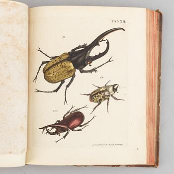 Beautiful hand-coloured engraved plates of beetles.
