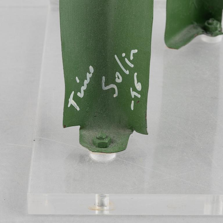 Timo Solin, Kvinnogestalt.