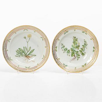 Royal Copenhagen, seven plates, 'Flora Danica', Denmark.