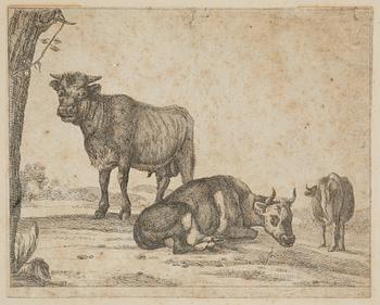 Paulus Potter, tillskriven, Boskap.