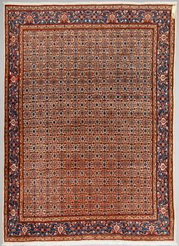MATTA, Moud, orientalisk. 380 x 262 cm.
