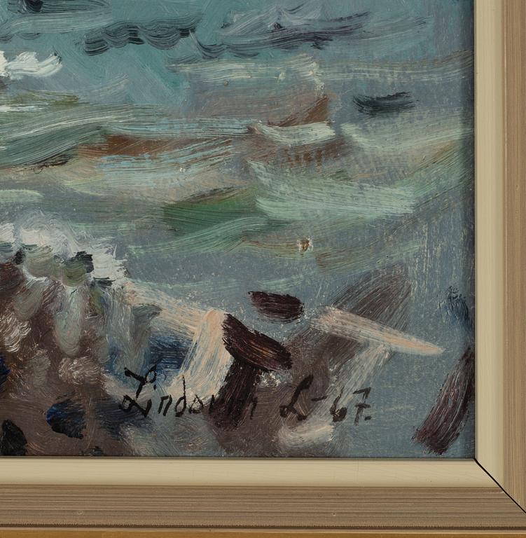 Lindorm Liljefors, Flygande knipor.