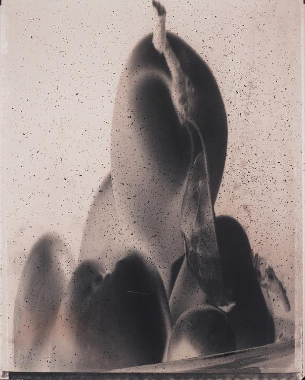 Åke E:son Lindman, "Utan titel #39", 1990.